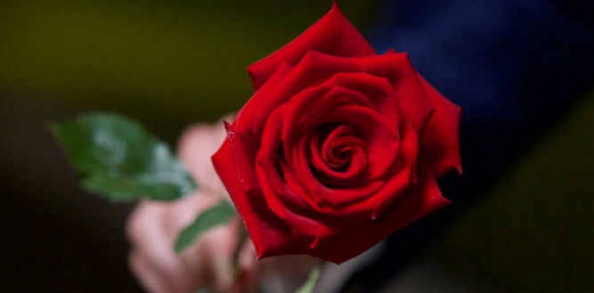 Efter grimt brud: Nu svarer ‘Bachelorette’-deltager på vedholdende rygter