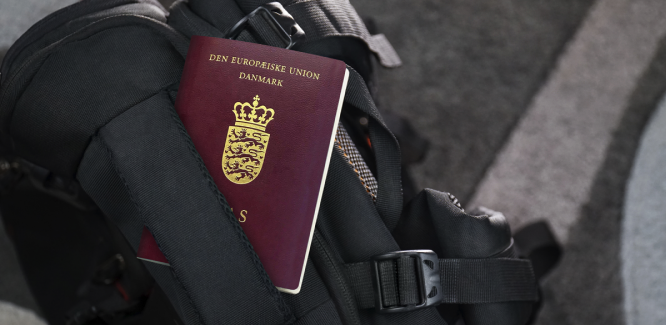 Verdenskendt liste offentliggjort: Danmark er ikke på listen, men alligevel er vi ikke helt glemt