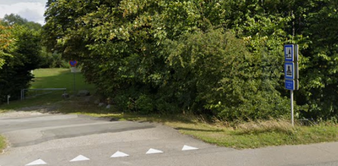 Kommune advarer borgerne: Børn og hunde er særligt udsatte