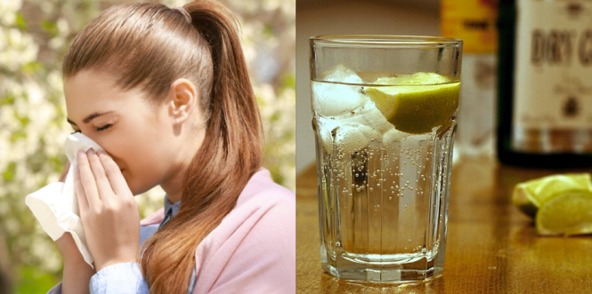 Døjer du med høfeber? Så bør du drikke en Gin og Tonic eller to