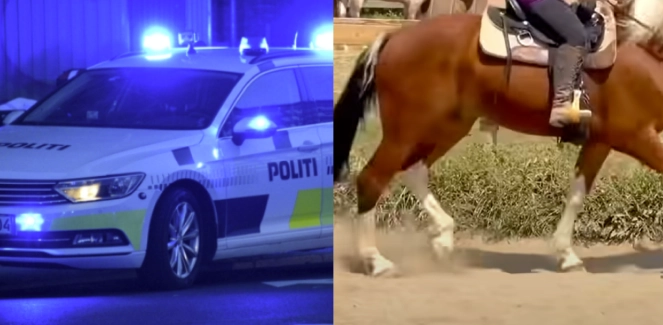 14-årig cyklist ramt af hest: Hendes tilstand er endnu uvis