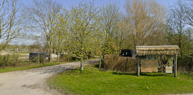 Påfugle spiste barns bolle i zoologisk have: Så gik faren amok