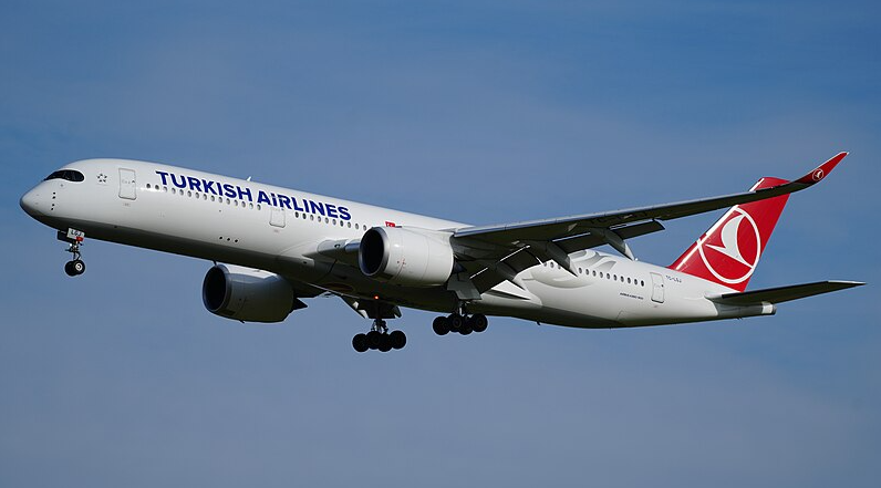 Tyrkisk pilot afgår ved døden midt under flyvning med Turkish Airlines
