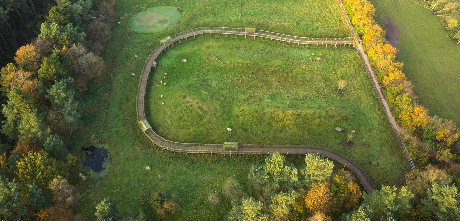Efterårsferien er over os: Dansk dyrepark fejrer det med gratis entré