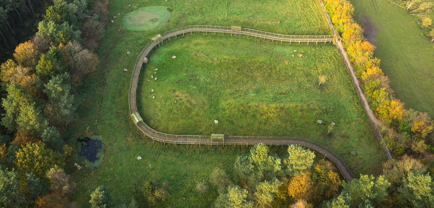 Efterårsferien er over os: Dansk dyrepark fejrer det med gratis entré