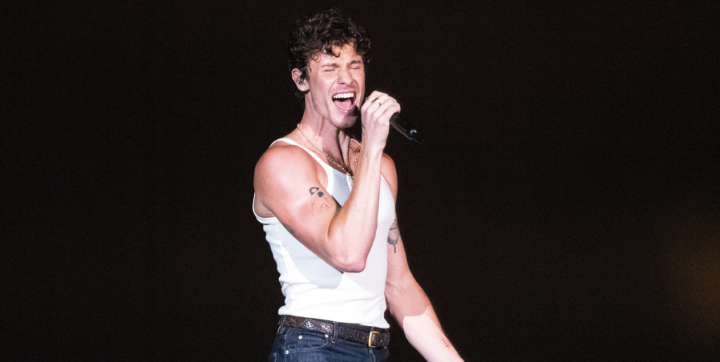 Rygterne har svirret: Nu sætter Shawn Mendes ord på sin seksualitet