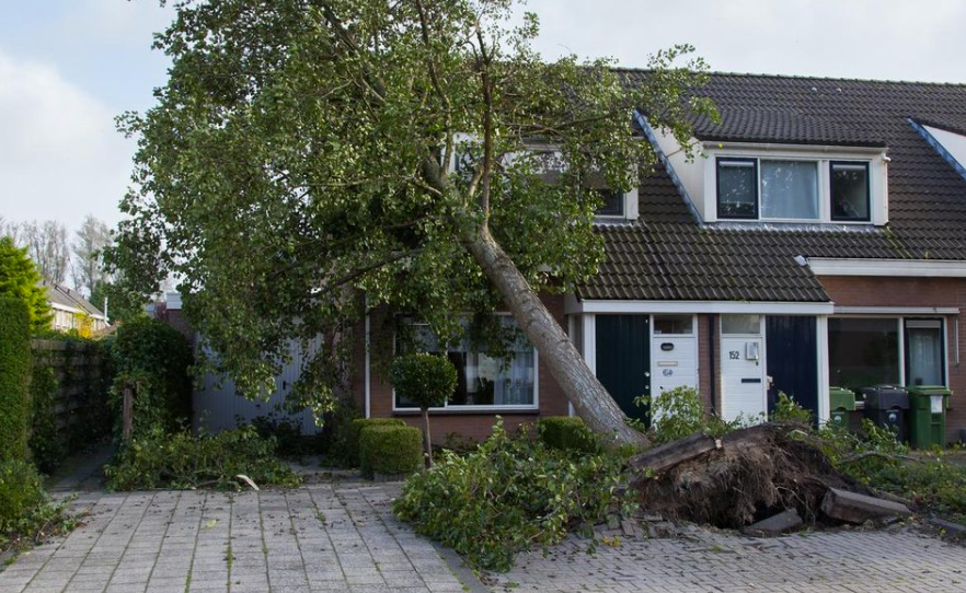 Nu er det talt op: Så mange danskere har anmeldt skader efter stormen