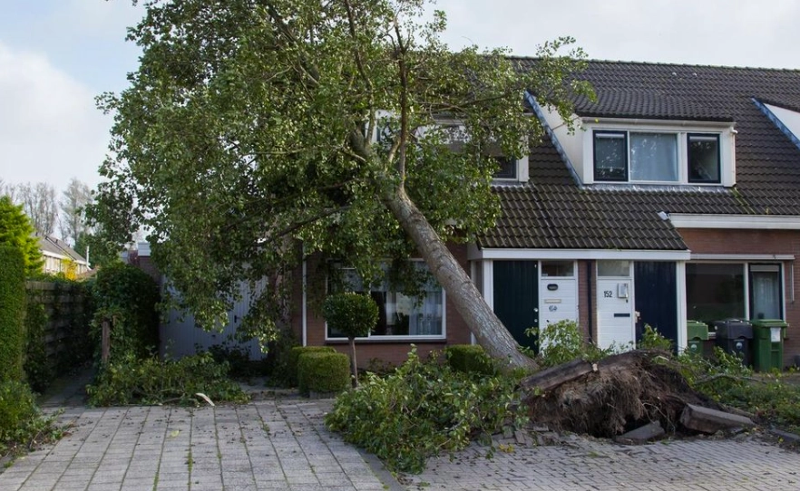 Nu er det talt op: Så mange danskere har anmeldt skader efter stormen