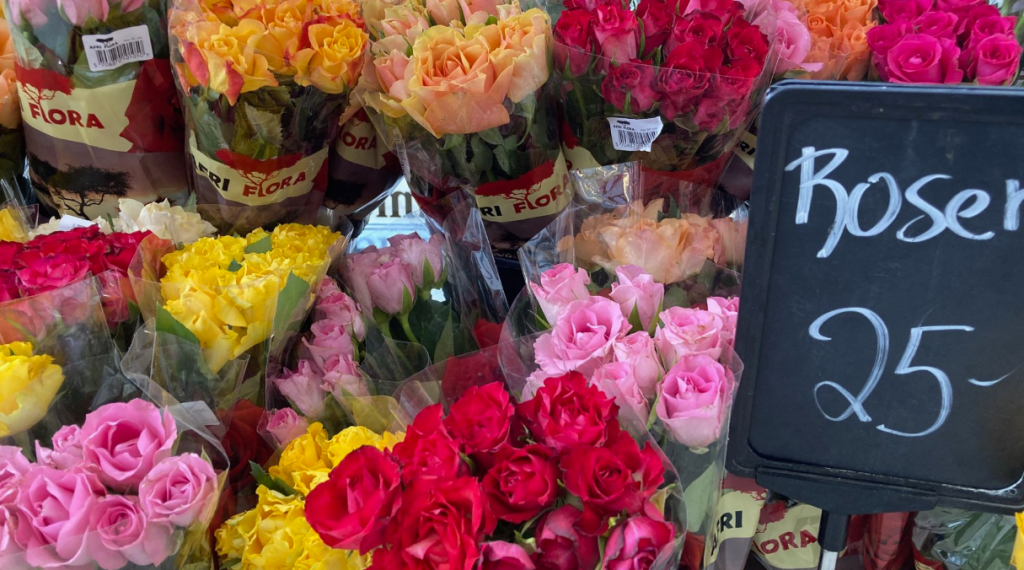 Mange køber blomster på Valentinsdag uden at være klar over risikoen: Sådan undgår du giftige buketter