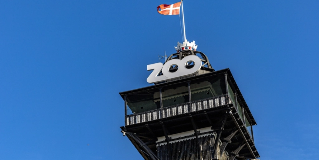 København Zoo delte stor nyhed for et år siden: Nu sker det endelig