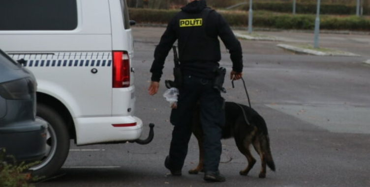 Spillede en stor rolle i Mia-sagen: Nu er Danmarks bedste politihund død