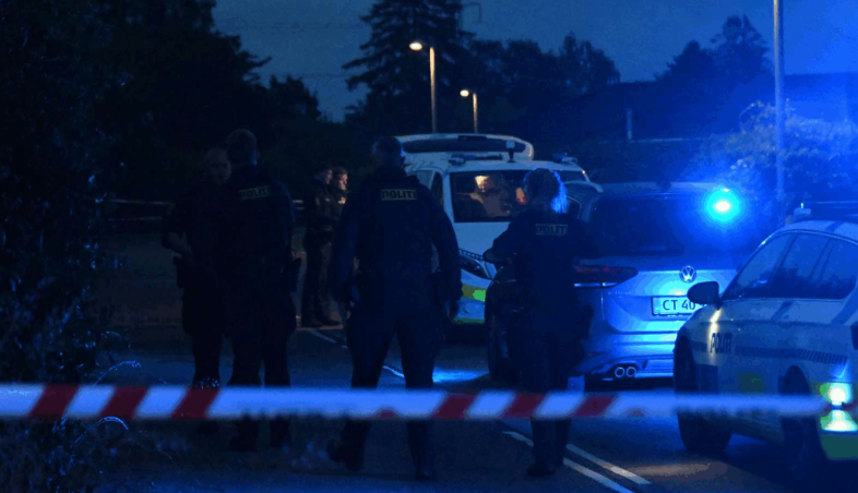 Forfærdelig drabssag i dansk by: To børn står alene tilbage