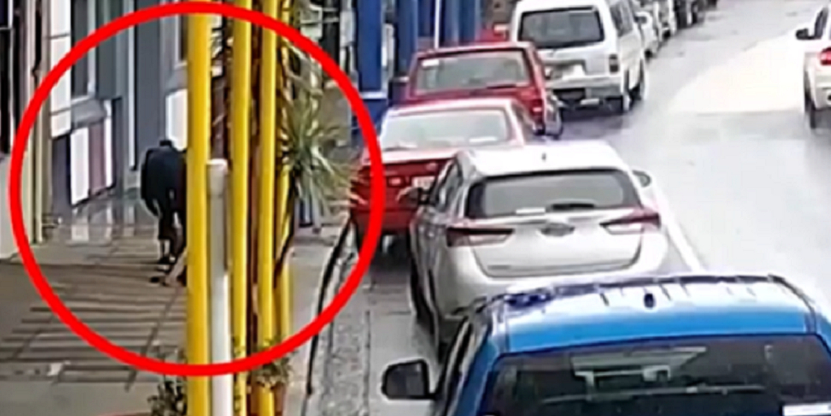 Ejer bandt sin hund ude foran butikken: Nu griner hele internettet af den virale video