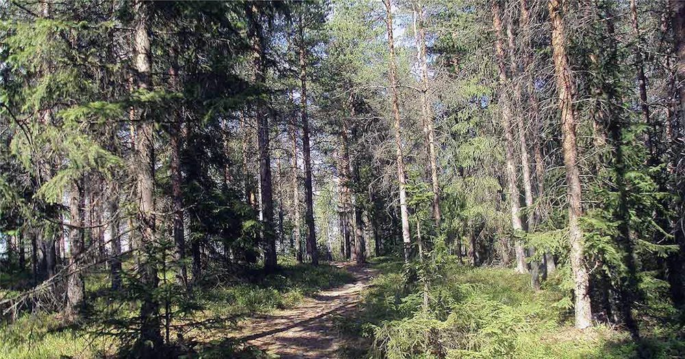 Sjælden dyreart fundet på Lolland: “Det er bad ass”