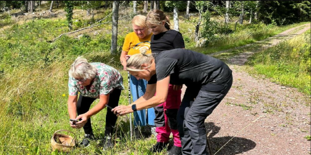 Overraskende fund i skov ryster befolkningen: “Det er helt forfærdeligt”