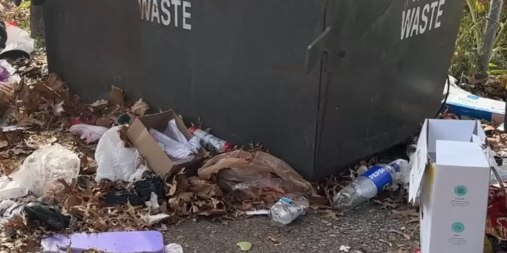 Kvinde kører forbi tilfældig container: Gør et hjerteskærende fund ved containeren