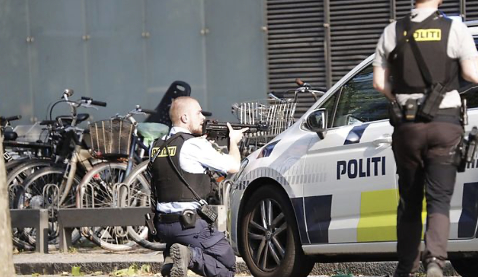 Grusomme detaljer afsløret i Fields-sagen: “Det er ganske alvorlige svigt”