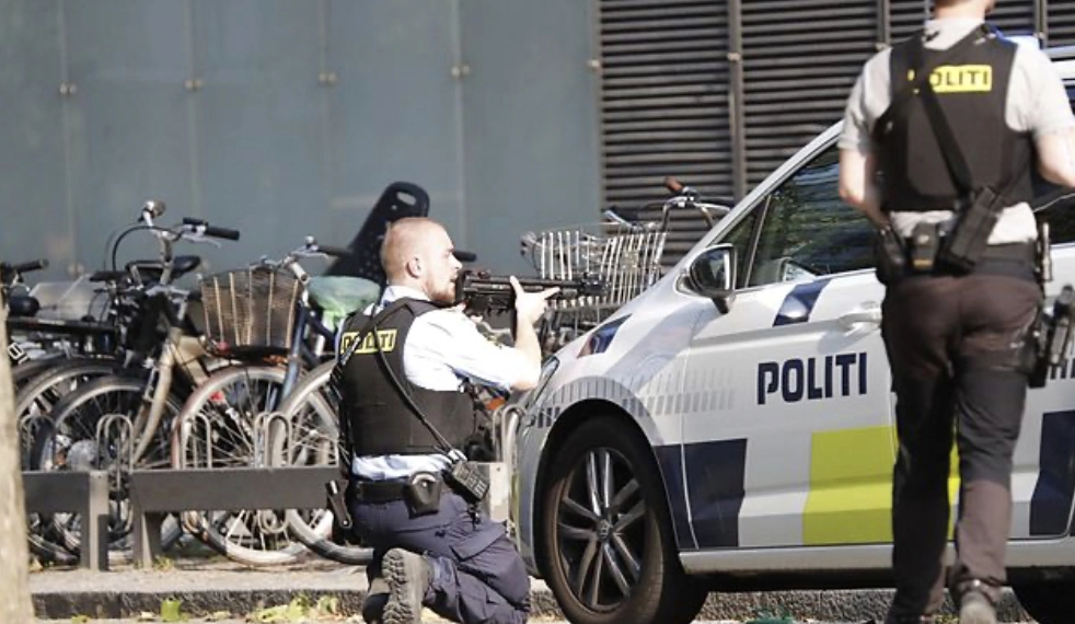 Grusomme detaljer afsløret i Fields-sagen: “Det er ganske alvorlige svigt”