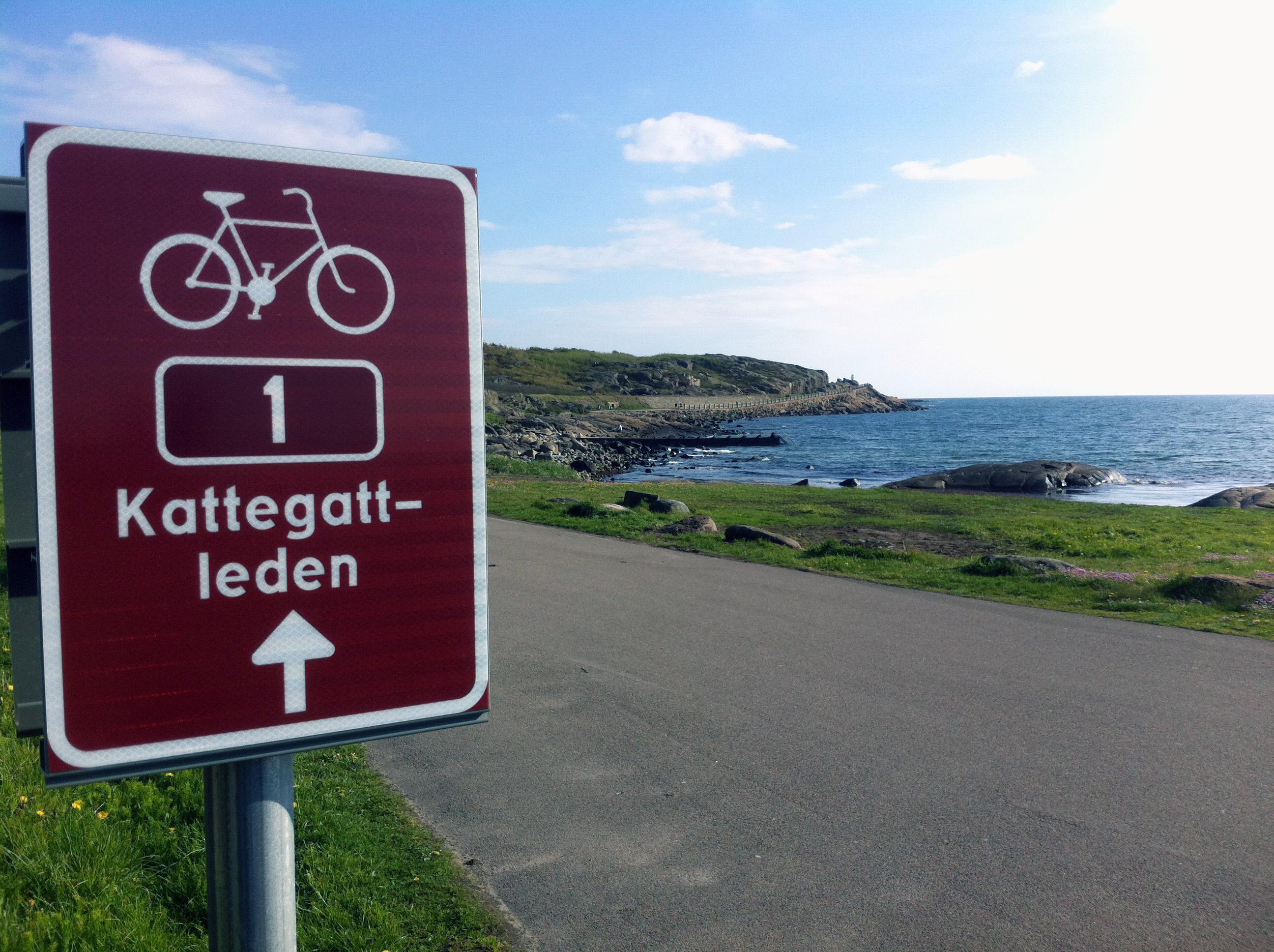 Svenskerne europamestre i cykling