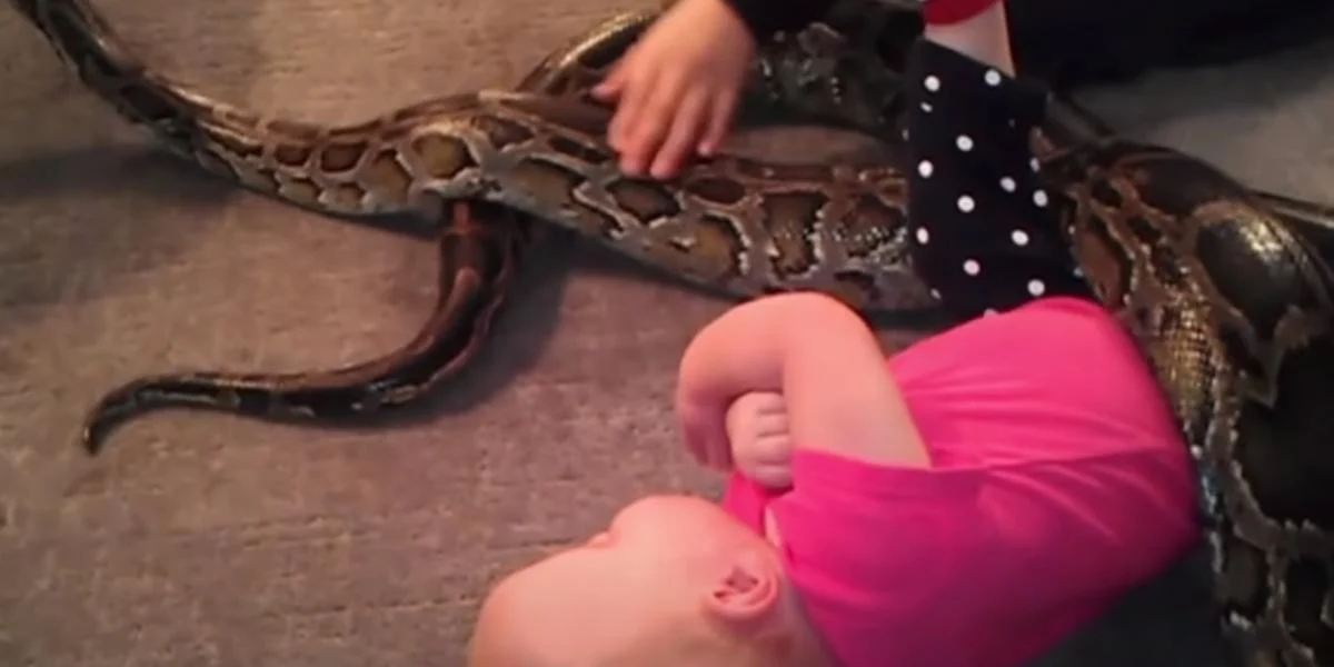 Far lagt for had på nettet: Satte sin datters liv på spil