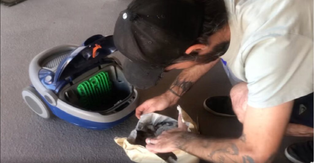 Kvinde ser giftigt dyr siddende på væggen og griber støvsugeren – og det er ikke en edderkop