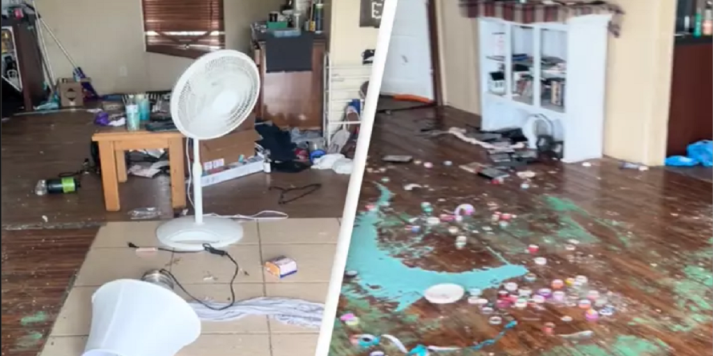 Kvinde sætter gang i en debat om betydningen af ​​familie, efter at et ‘utaknemmeligt’ medlem ‘ødelagde’ hendes hus