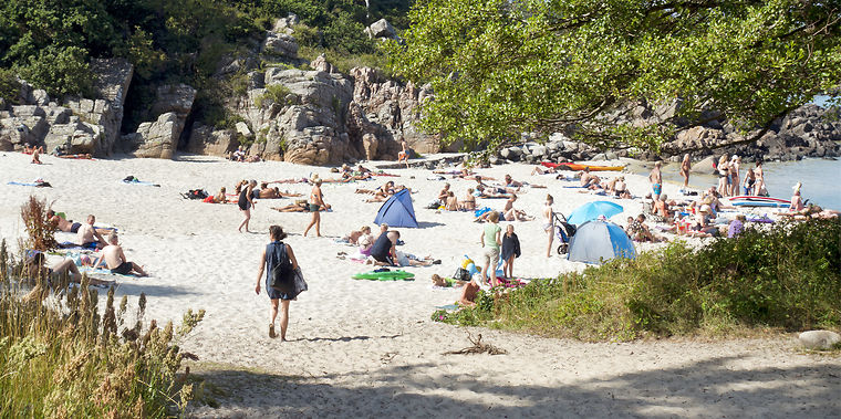 Breaking: Du kan rejse til ALLE lande i EU