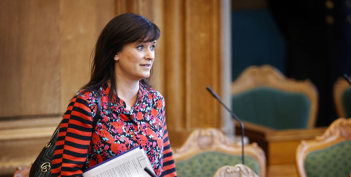 Melder ud: Vi vil bruge flertallet til advokatundersøgelse