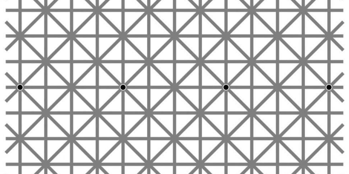 Der er 12 sorte prikker på dette billede: Kan du se dem alle?