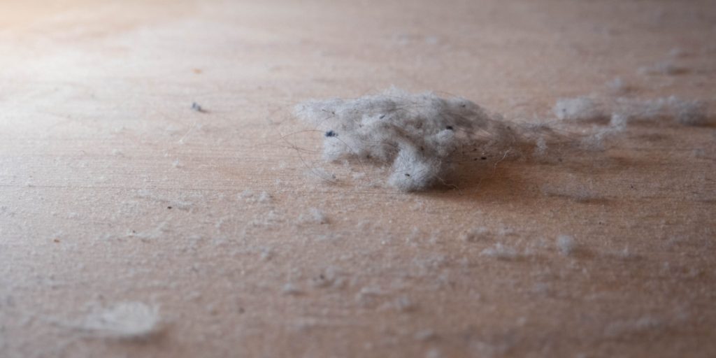 Næsten ingen gør det: Sådan kommer du af med det dårlige indeklima