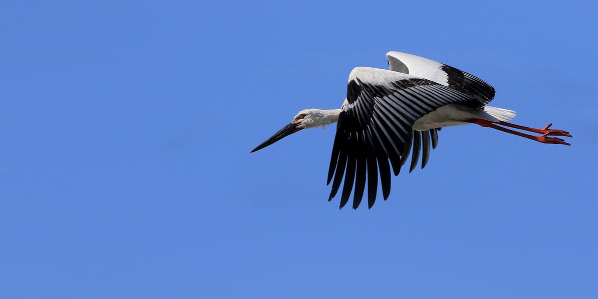 Chokeret efter første drab i 25 år: “Det er næsten ubærligt”