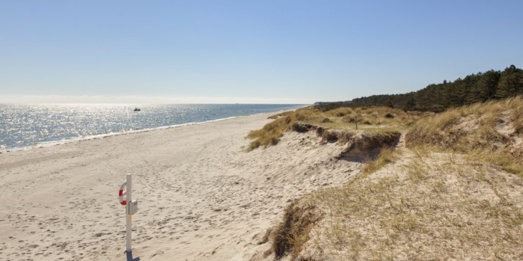 Gudrun ville gå en tur på stranden: Blev mødt af et syn, hun aldrig vil glemme