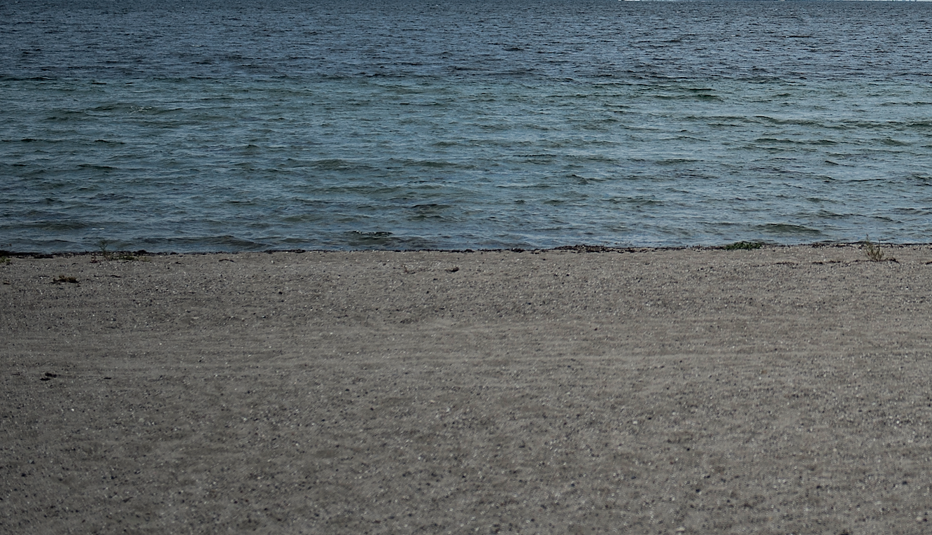 To mænd og en kvinde gik på strand ved Aarhus, da de så noget i vandet: Nu hyldes de for deres mod