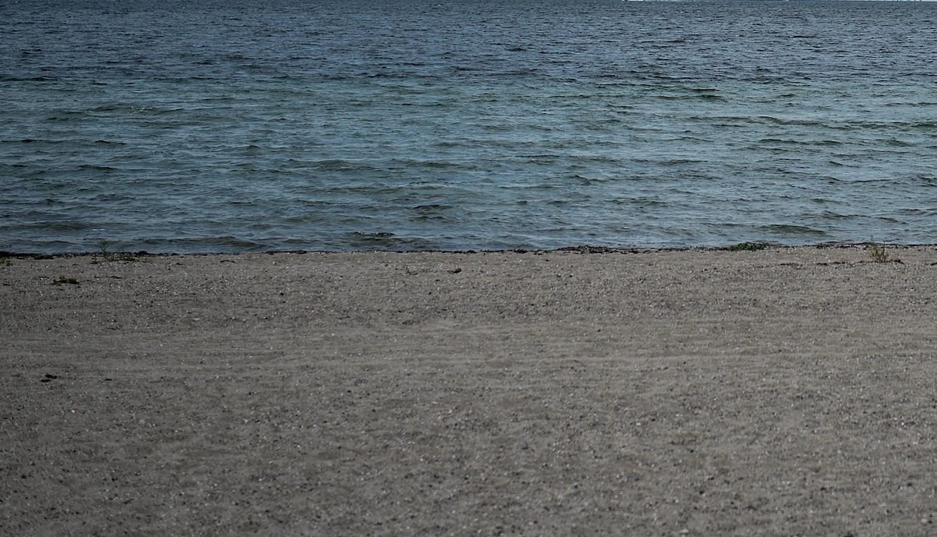 To mænd og en kvinde gik på strand ved Aarhus, da de så noget i vandet: Nu hyldes de for deres mod