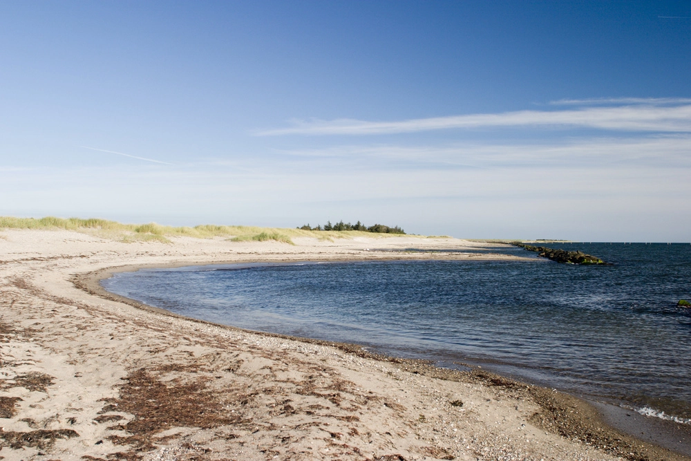Chris tog sin hund med på stranden: Få dage senere skete det værst tænkelige