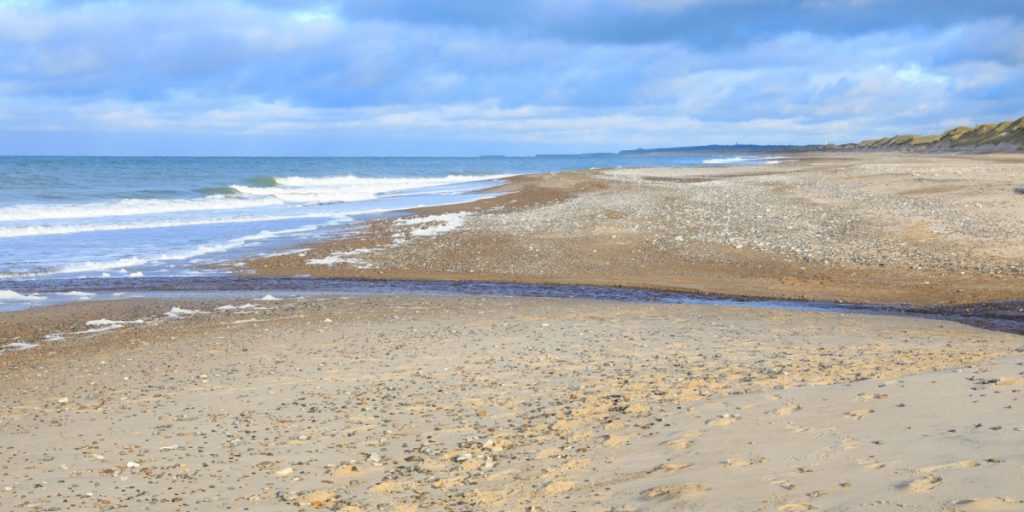 Bekymrende fund gjort på dansk strand: Nu advarer strandfoged