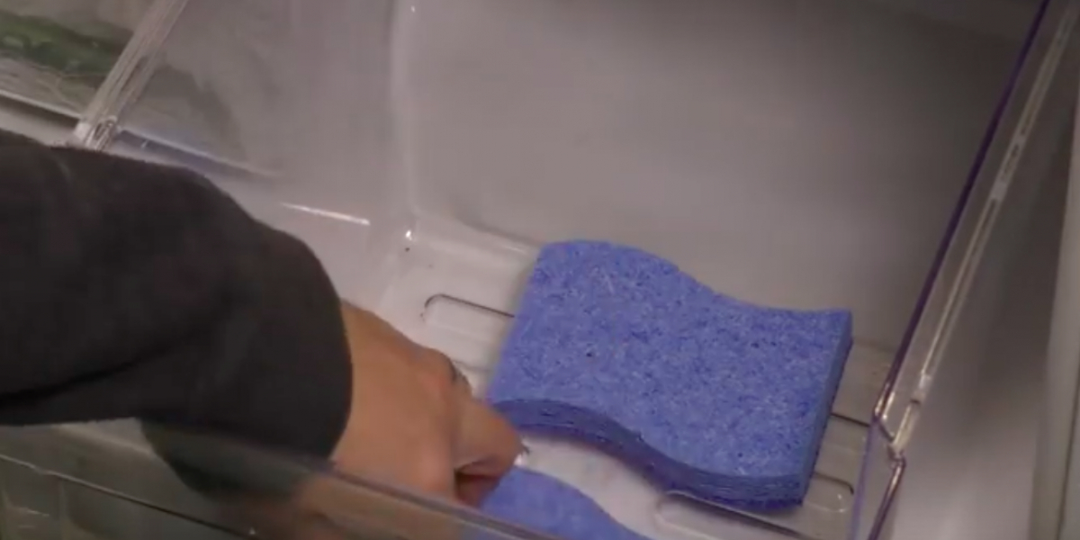 Smart trick: Derfor skal du lægge køkkensvampe i dit køleskab