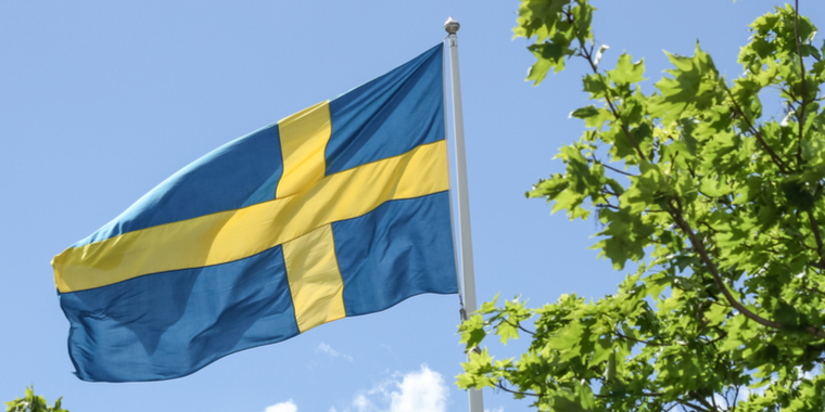 LIGE NU: Svenske eksperter: Gør ikke, hvad vi gjorde.