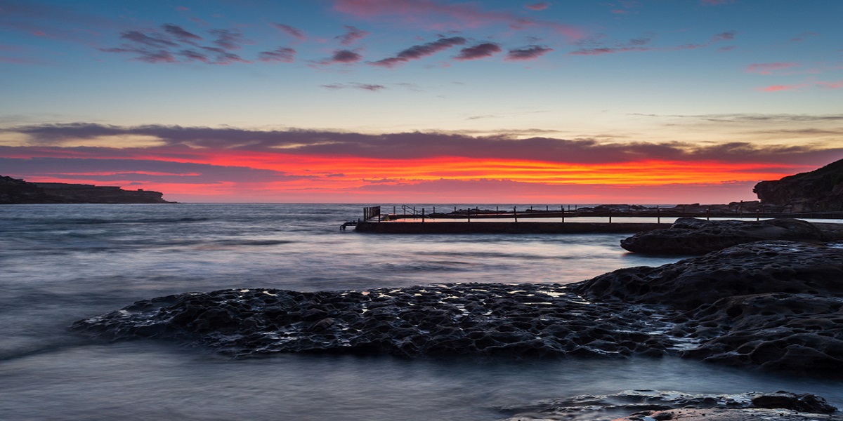 Første gang i 60 år: Haj dræber svømmer