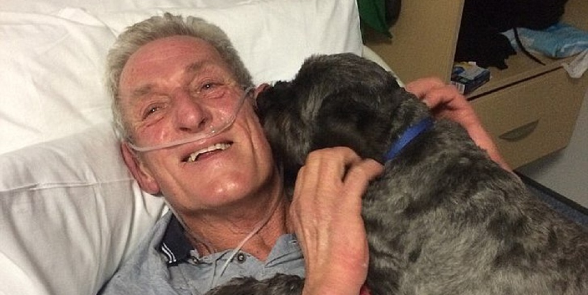 Mand i koma fik besøg af sin hund: Så skete det utænkelige