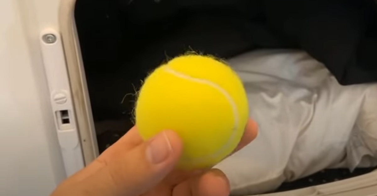 Smid en tennisbold i tørretumbleren næste gang du tørrer tøj: Så skal du bare se løjer