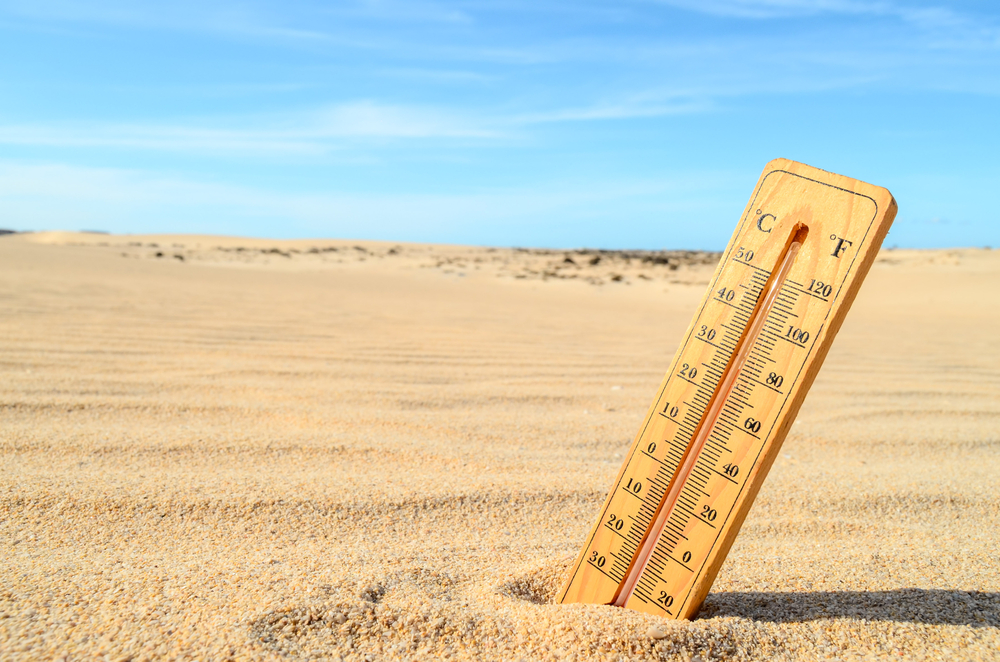 DMI: Over 20 grader i dag