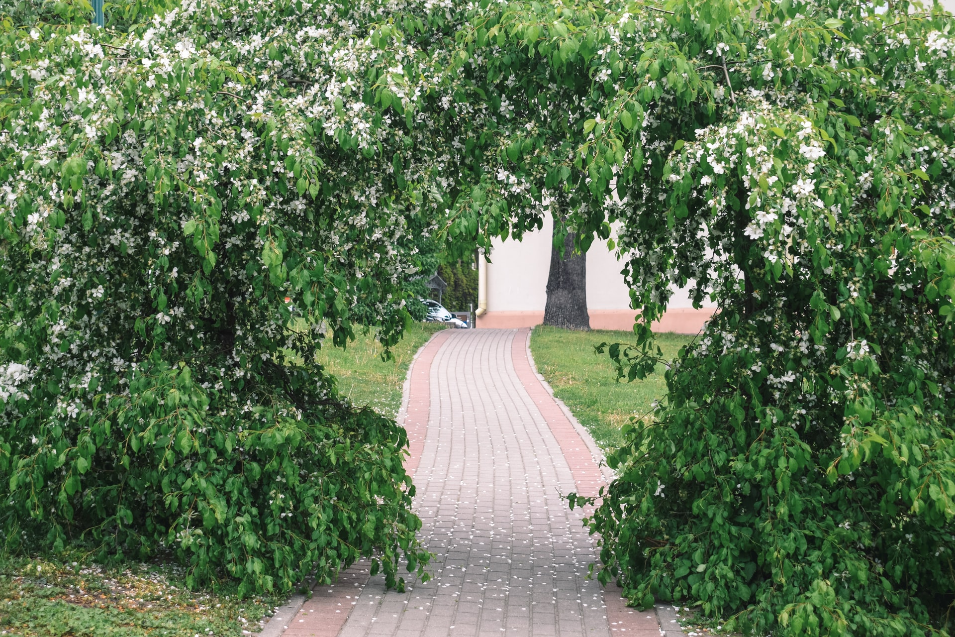 Giv sensommerhaven en flot makeover