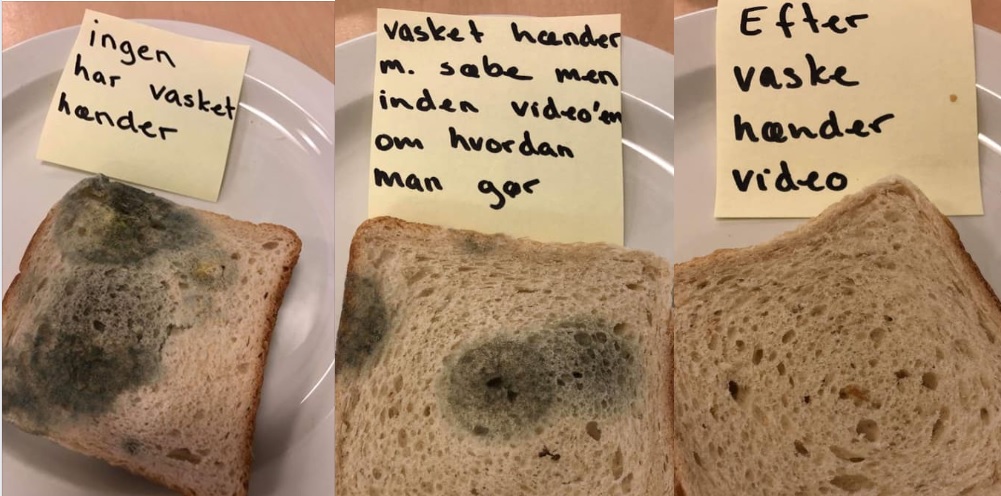 Dansk 0.klasse laver forsøg med brød: Du vil vaske dine hænder, når du har set det
