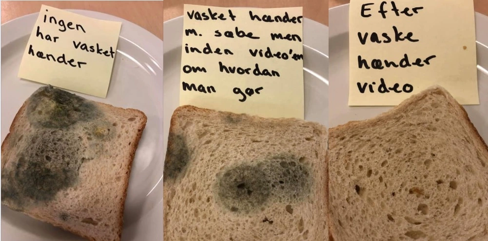Dansk 0.klasse laver forsøg med brød: Du vil vaske dine hænder, når du har set det