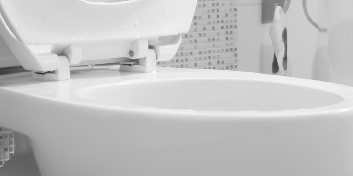 25-årige Sofie kunne ikke skylle ud i sit toilet – Hun fjernede cisternen og fik et kæmpe chok