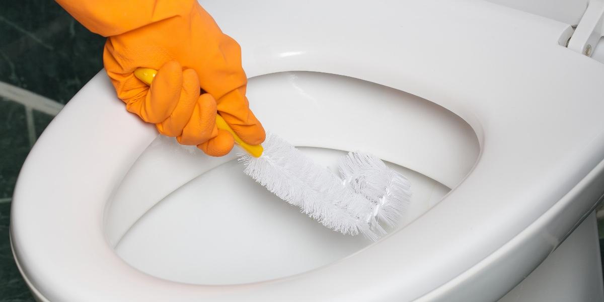 Afslører særligt trick: Sådan fjerner du nemt kalk i toilettet for 30 kroner