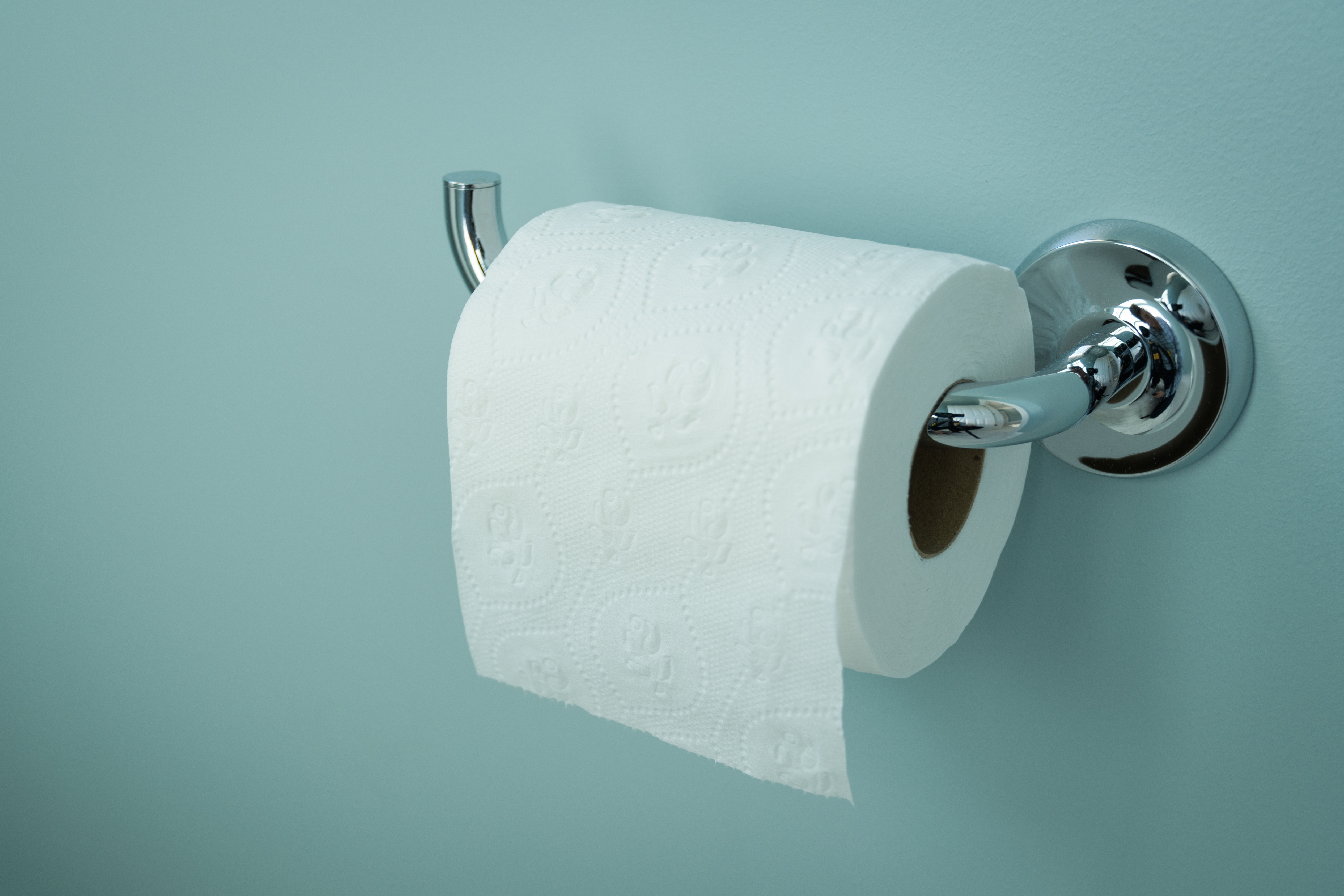 Nu er debatten slut: Denne vej skal toiletrullen vende