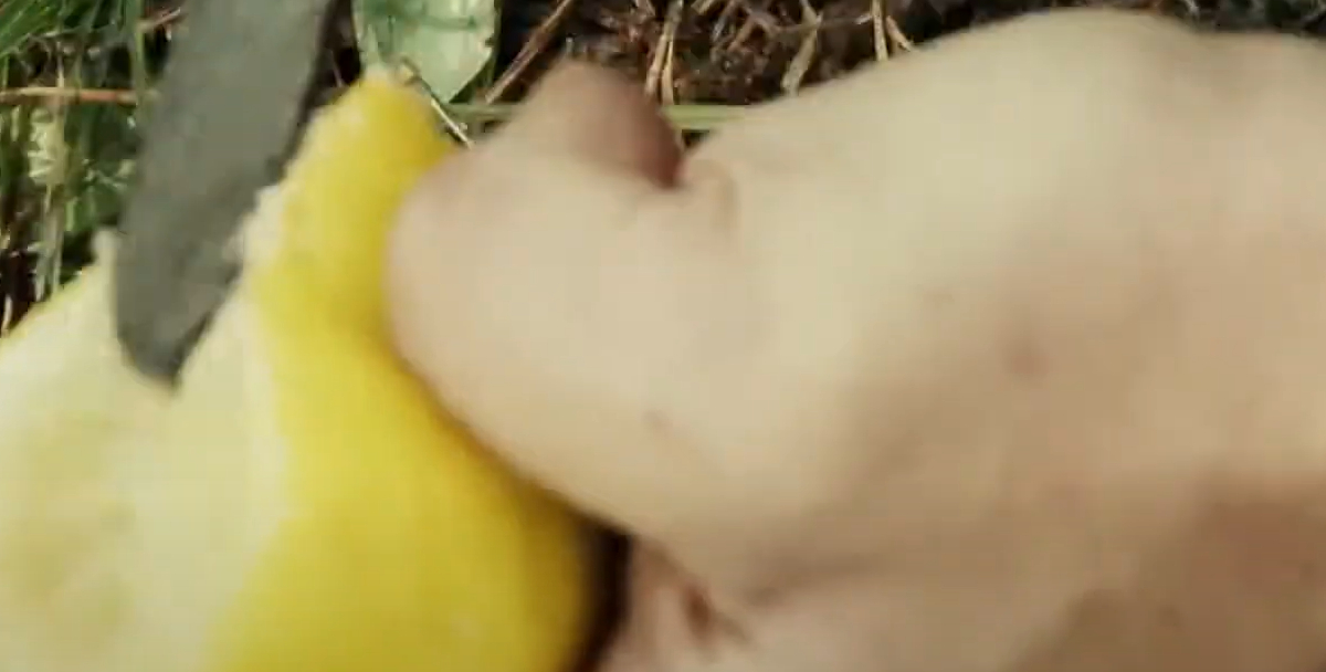 Kræver kun citronsaft: Se så hvordan populært køkkenredskab forvandles