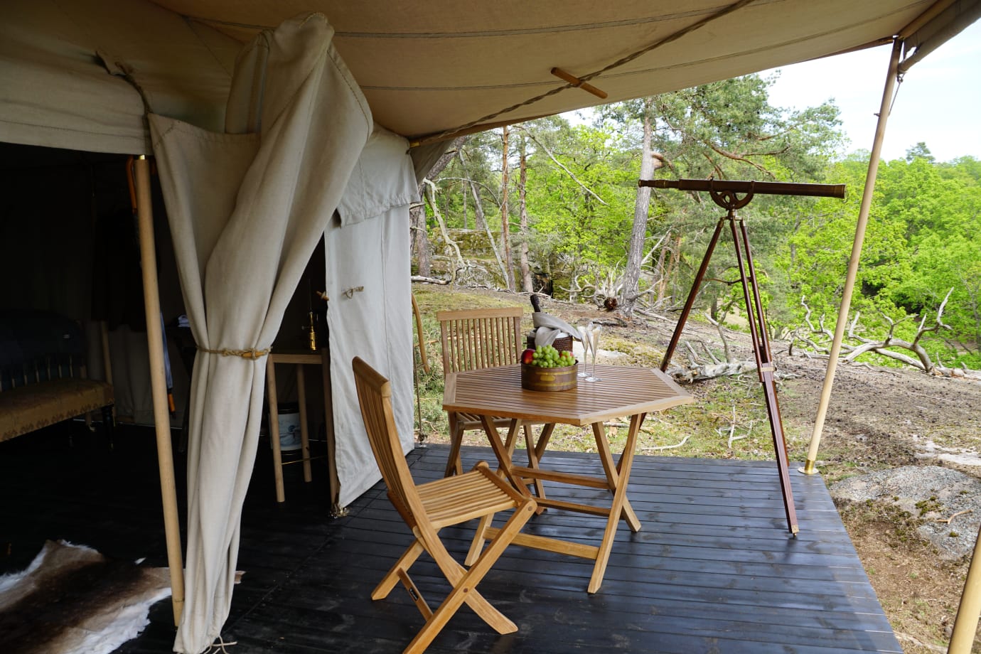 Vild glamping: Luksuscamping med vilde dyr